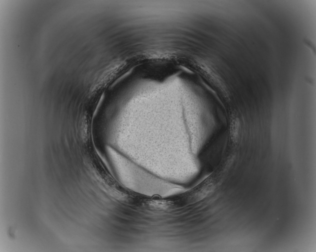 X0000100880261200807111350