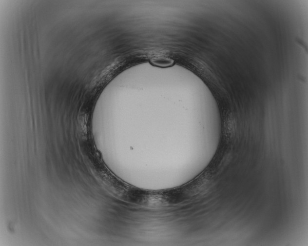 X0000100880264200807111350