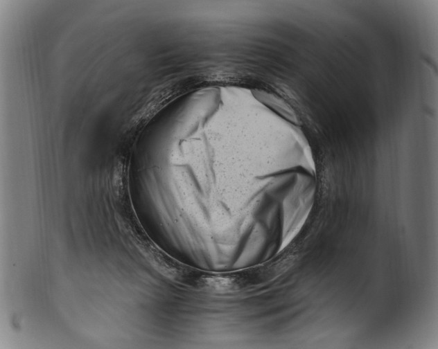 X0000100880265200807111350