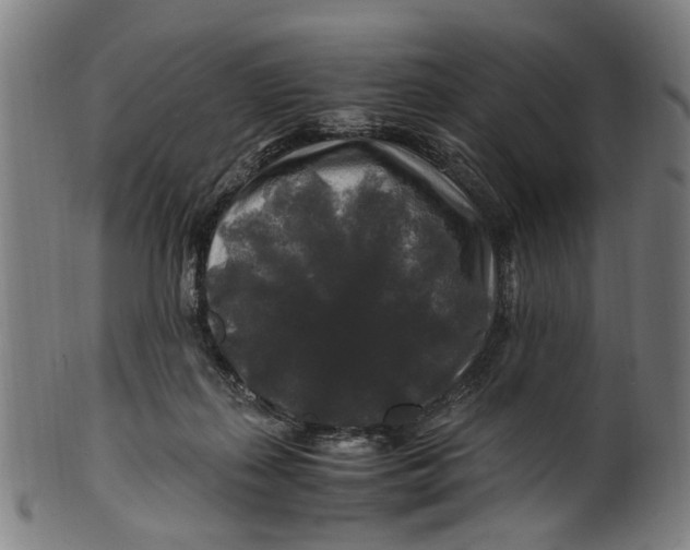 X0000100880267200807111350