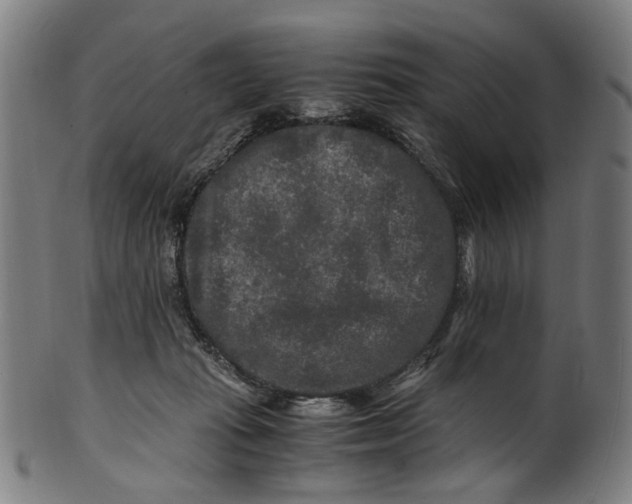 X0000100880269200807111350