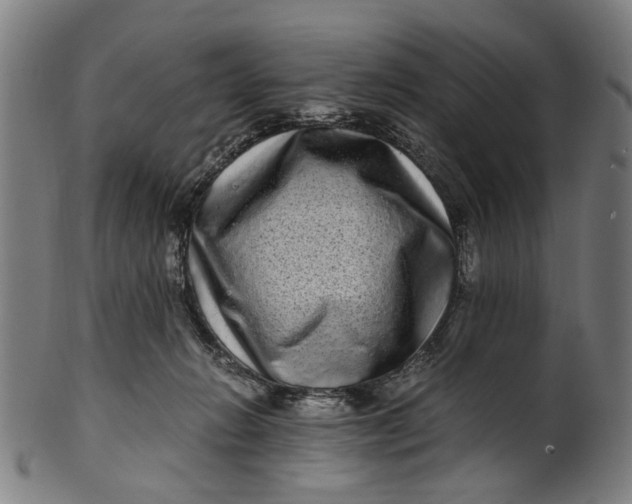 X0000100880270200807111350