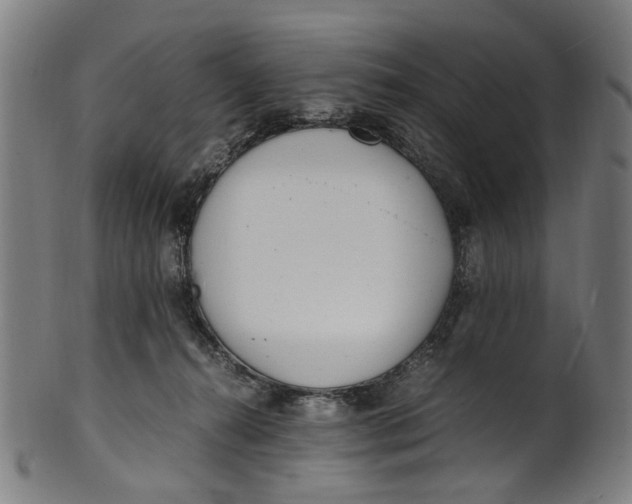 X0000100880272200807111350