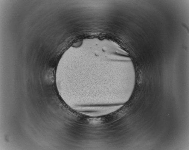 X0000100880273200807111350