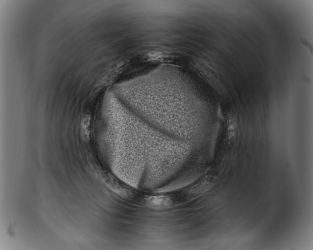 X0000100880275200807111350