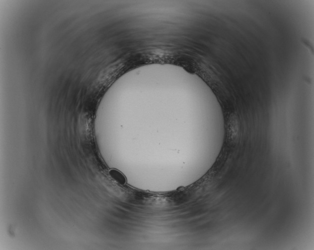 X0000100880276200807111350