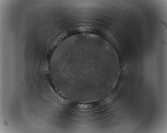 X0000100880277200807111350