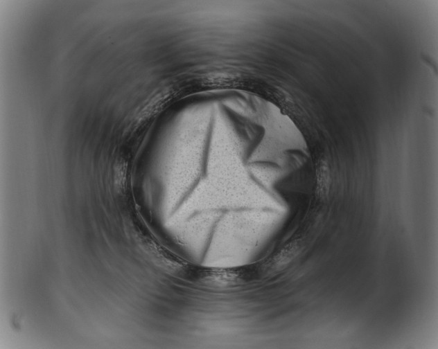 X0000100880278200807111350