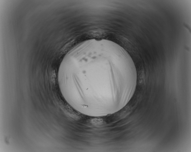 X0000100880279200807111350