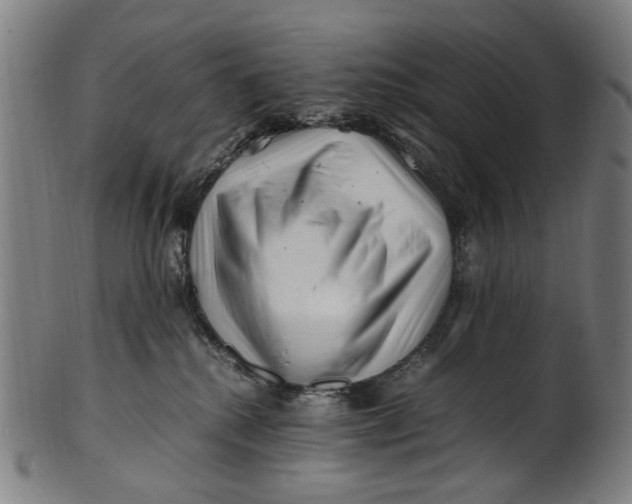 X0000100880280200807111350