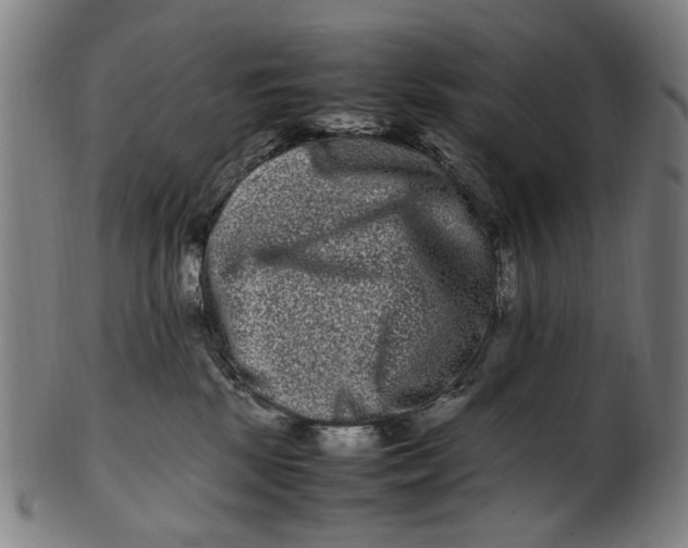 X0000100880281200807111350