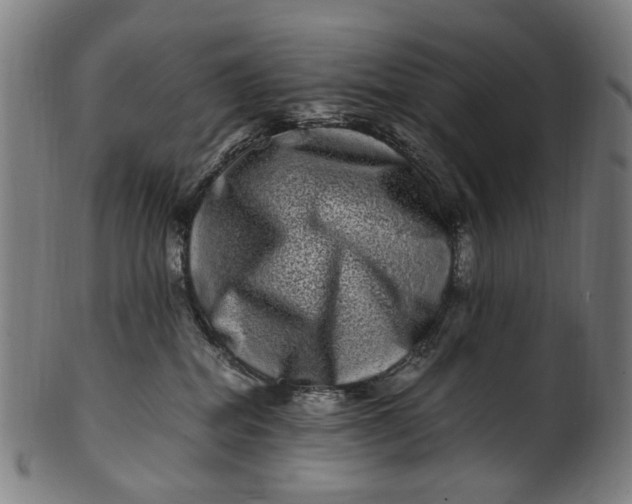 X0000100880282200807111350