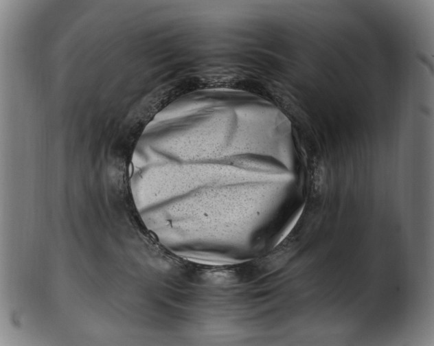 X0000100880283200807111350