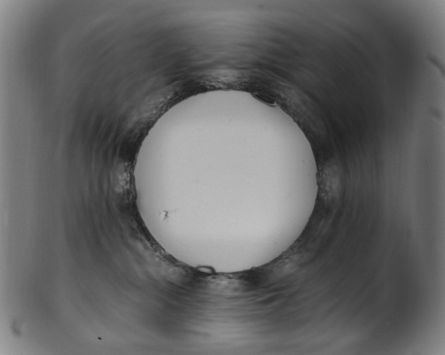 X0000100880284200807111350