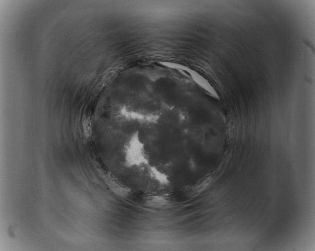 X0000100880285200807111350