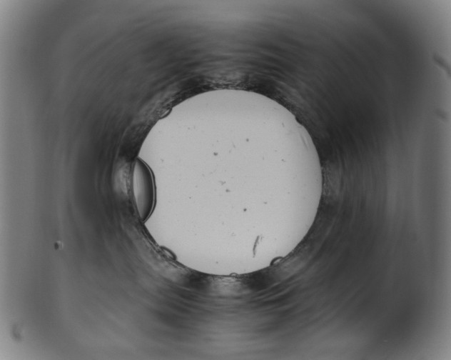 X0000100880287200807111350