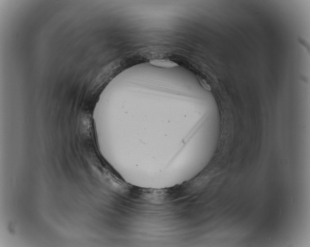 X0000100880288200807111350