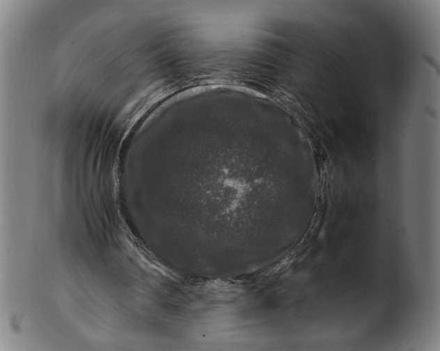 X0000100880290200807111349