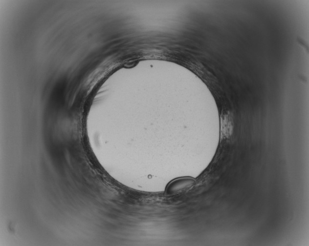 X0000100880291200807111349