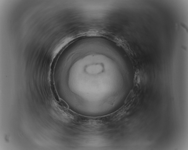 X0000100880292200807111349