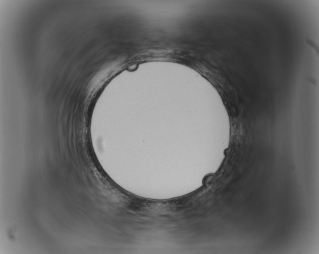 X0000100880293200807111349