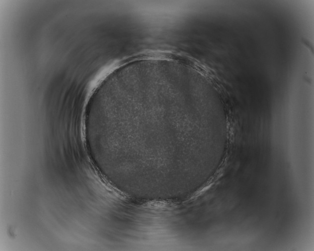 X0000100880294200807111349