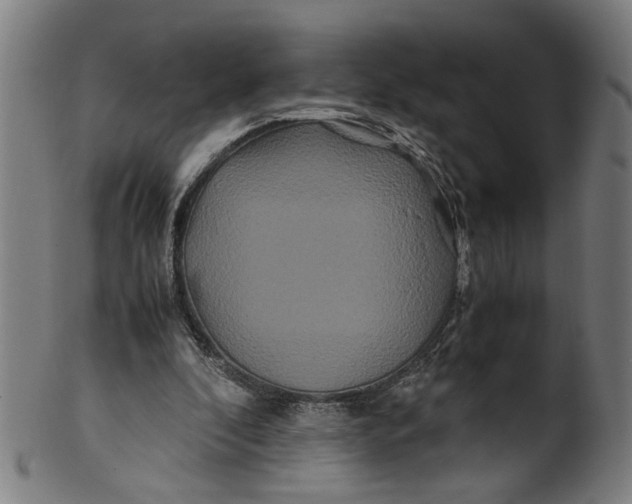 X0000100880296200807111349