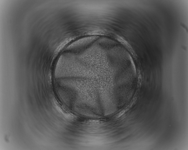 X0000100880298200807111349