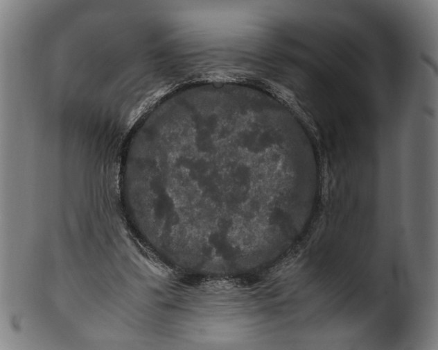 X0000100880299200807111349