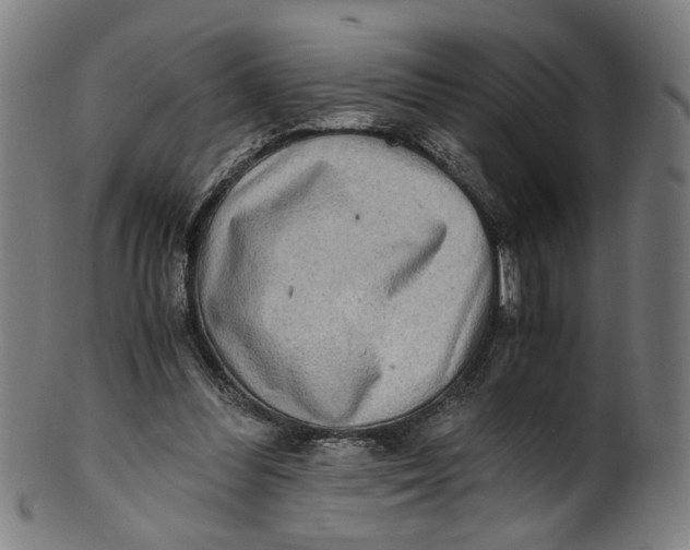 X0000100880300200807111349