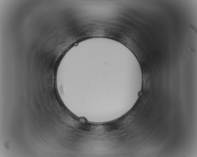 X0000100880301200807111349