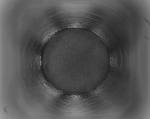 X0000100880302200807111349