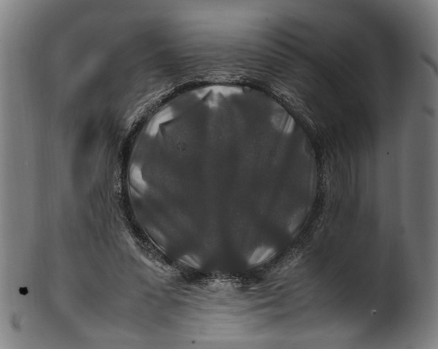 X0000100880303200807111349