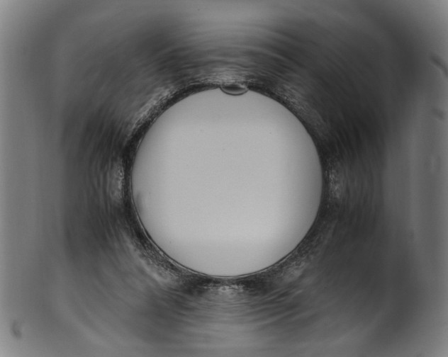 X0000100880304200807111349