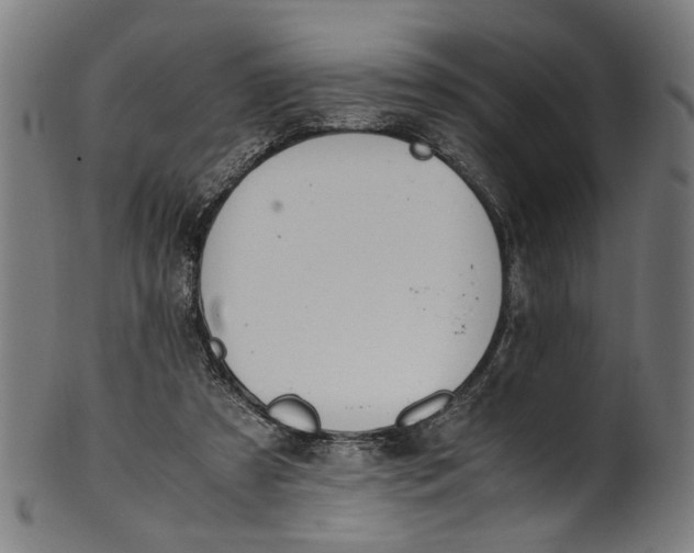 X0000100880305200807111349