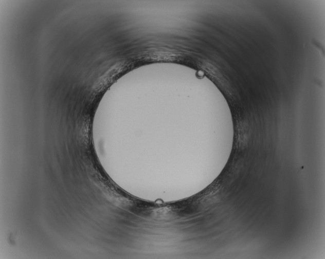 X0000100880309200807111349