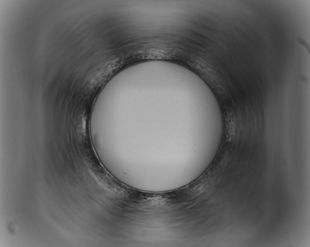 X0000100880310200807111349