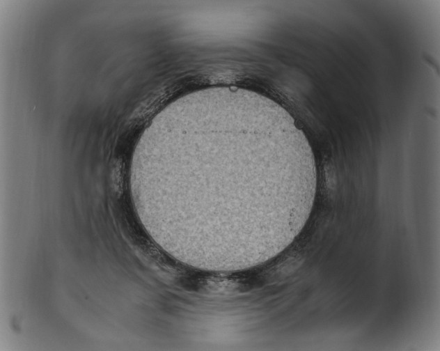 X0000100880311200807111349