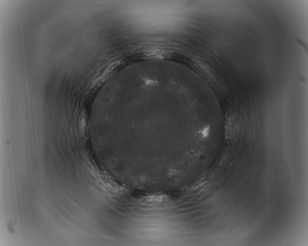 X0000100880314200807111349