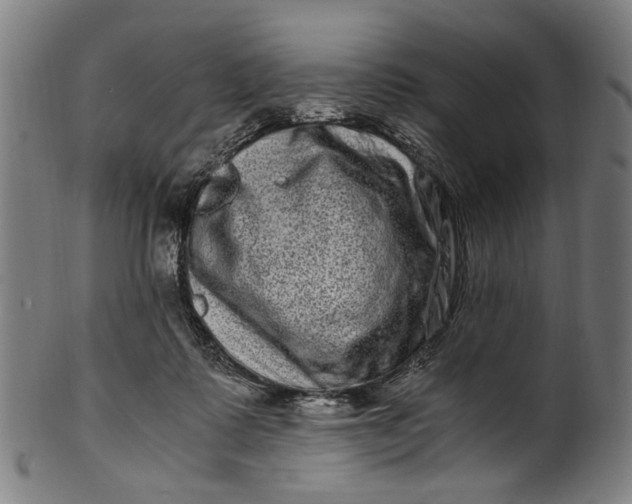 X0000100880315200807111349