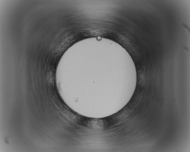 X0000100880317200807111349