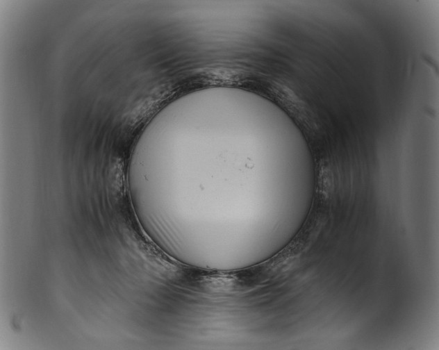 X0000100880318200807111349