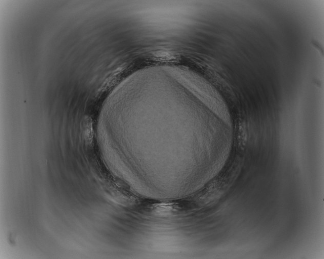 X0000100880320200807111349