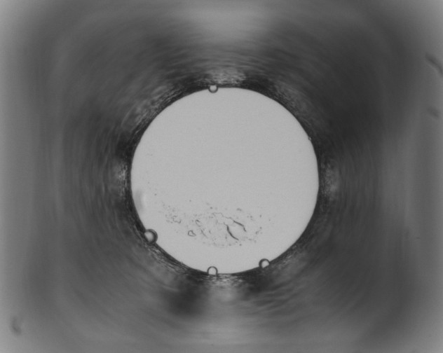 X0000100880321200807111349