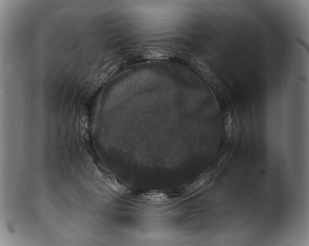 X0000100880322200807111349