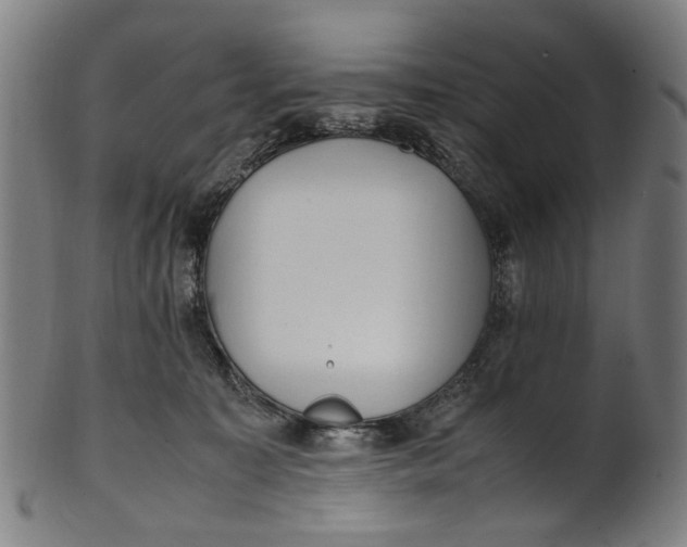 X0000100880323200807111349