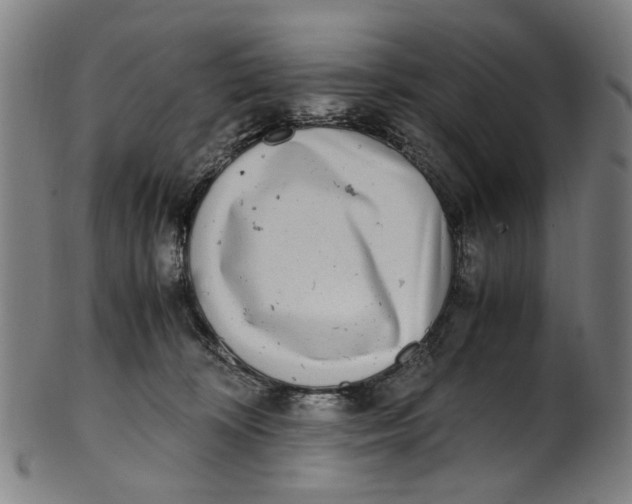 X0000100880324200807111349