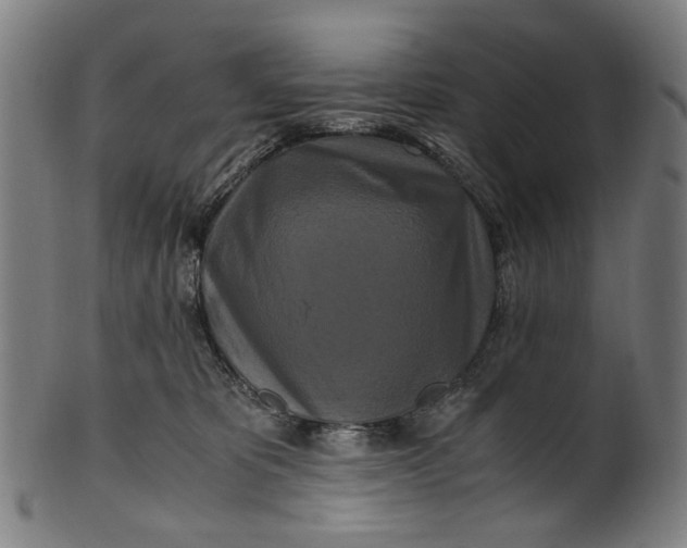 X0000100880325200807111349