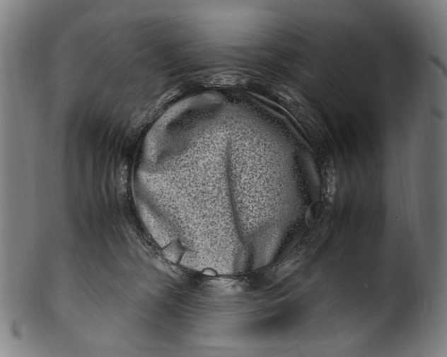 X0000100880326200807111349