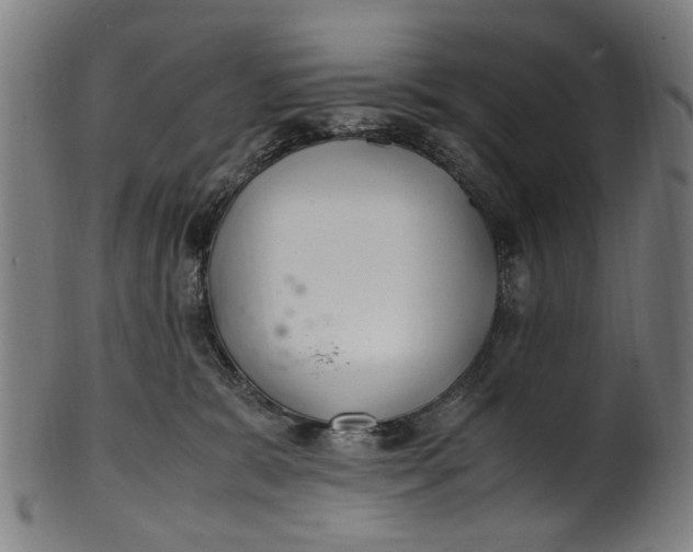 X0000100880327200807111349